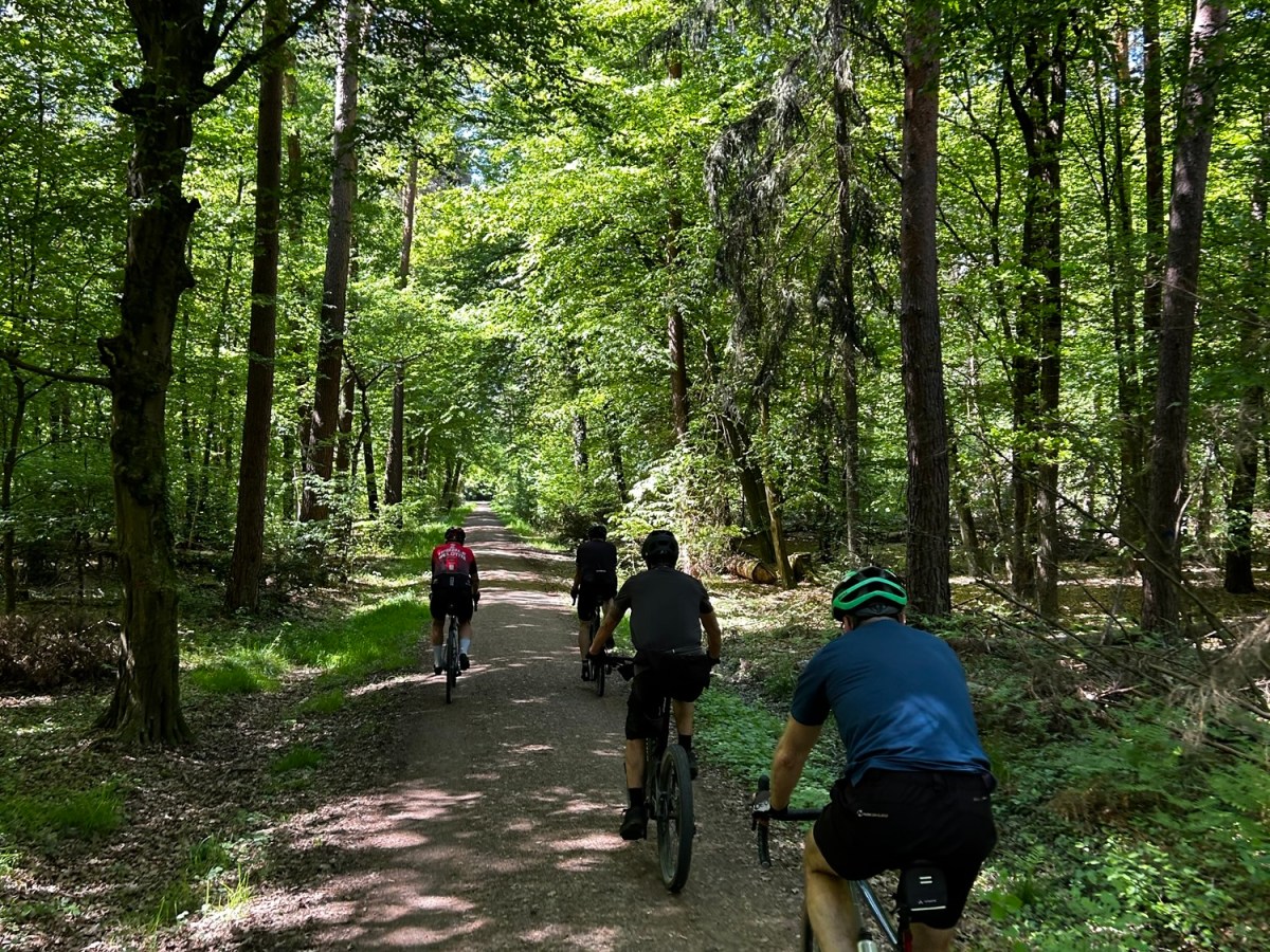 Dreggisches Extra am 1. Mai&nbsp;2025